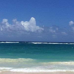 Meet your Posher, Sheila cecil